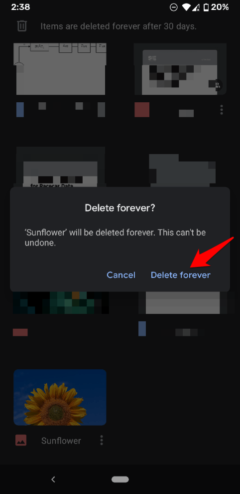 Confirm Delete forever