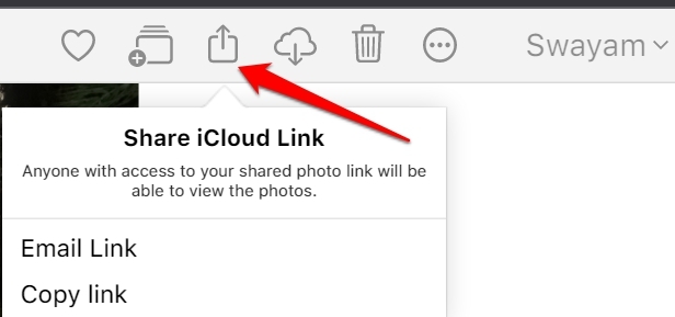 Copy iCloud Photos Link or Email Link