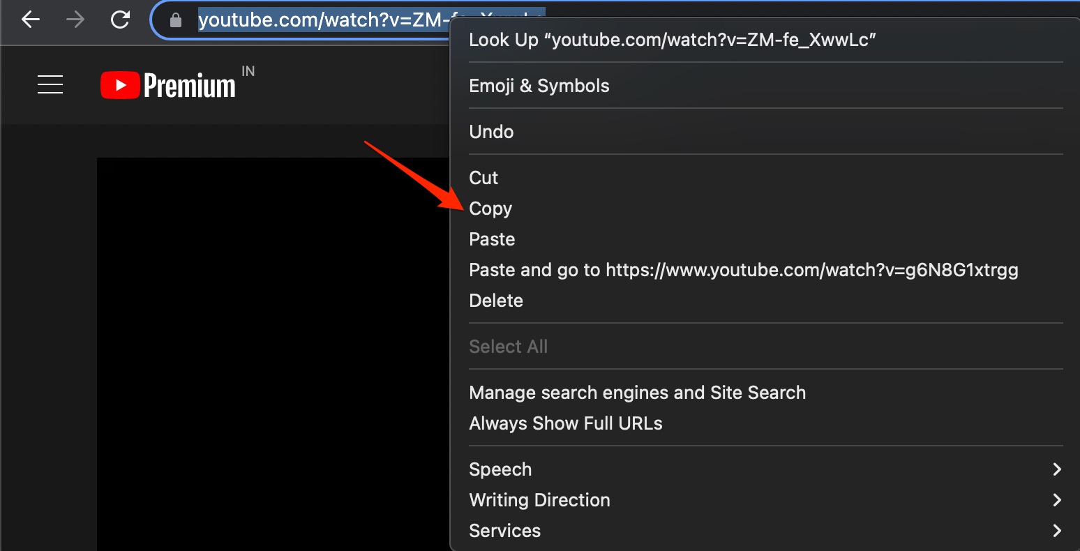 Copy YouTube URL