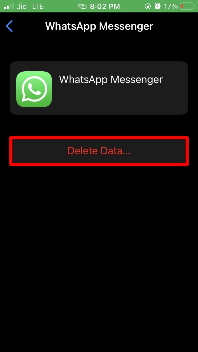 Delete Data WhatsApp iPhone