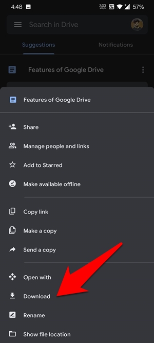 Download Files Google Drive