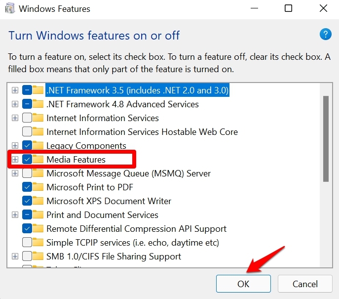 Enable Windows Media Features