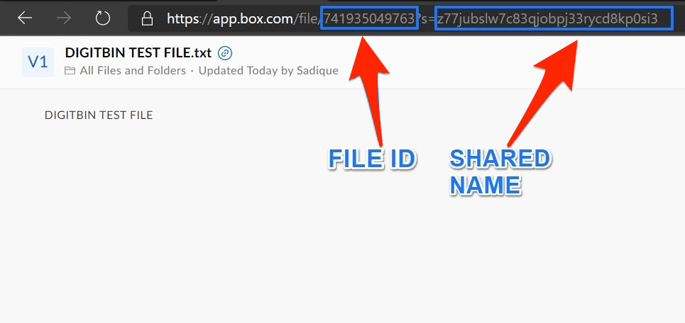 File_ID_and_Name_of_BOX_URL