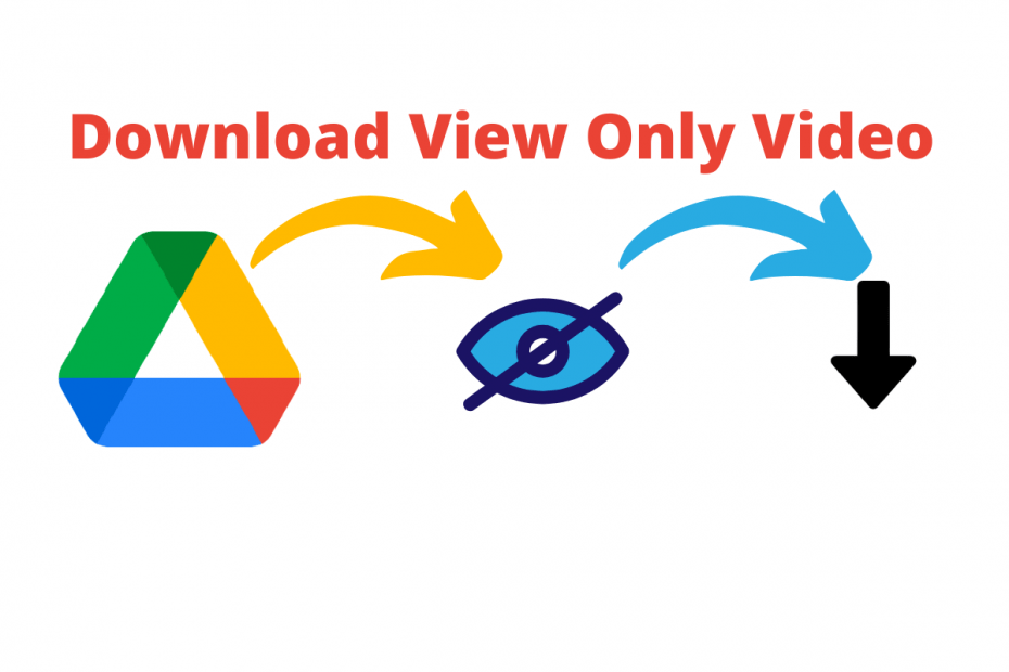 Google Drive View Only Video Download