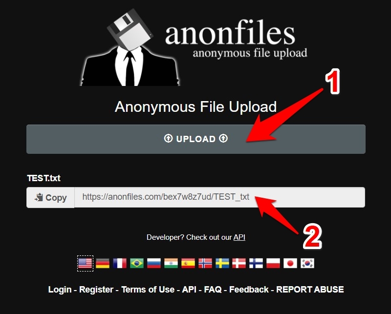 How to Use Anonfiles