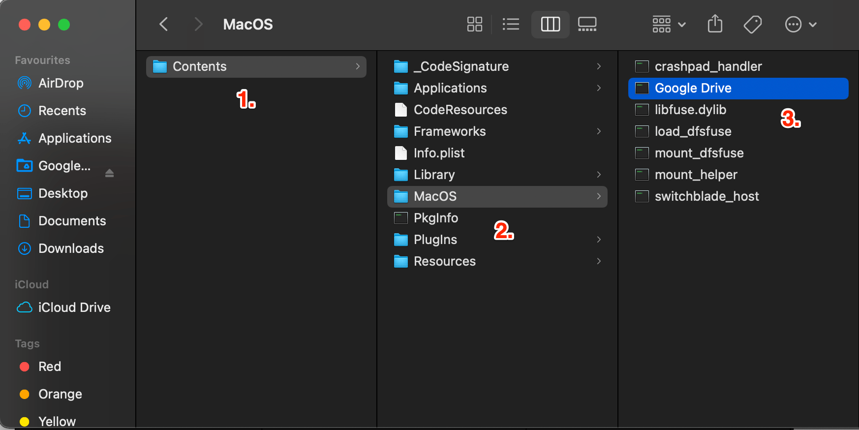 Look for the MacOS folder and open the Google Drive script