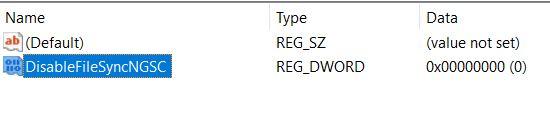 Name File DisableFileSyncNGSC