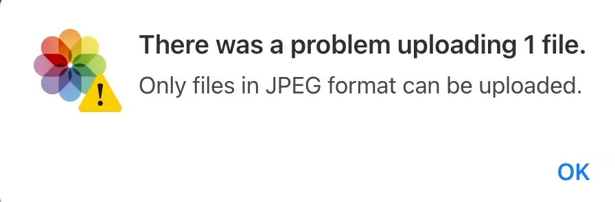 Only Files in JPEG Format Can be Uploaded