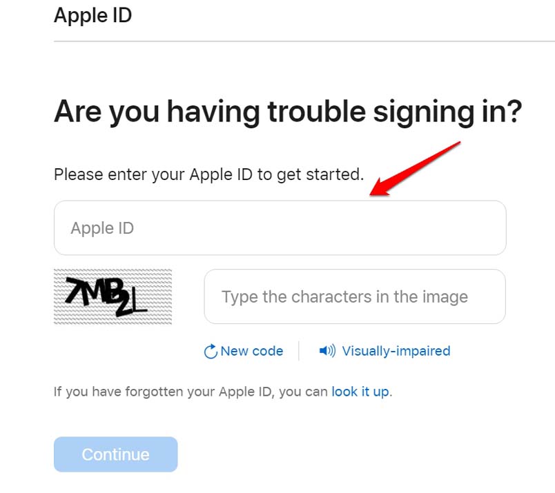 Reset Apple Password