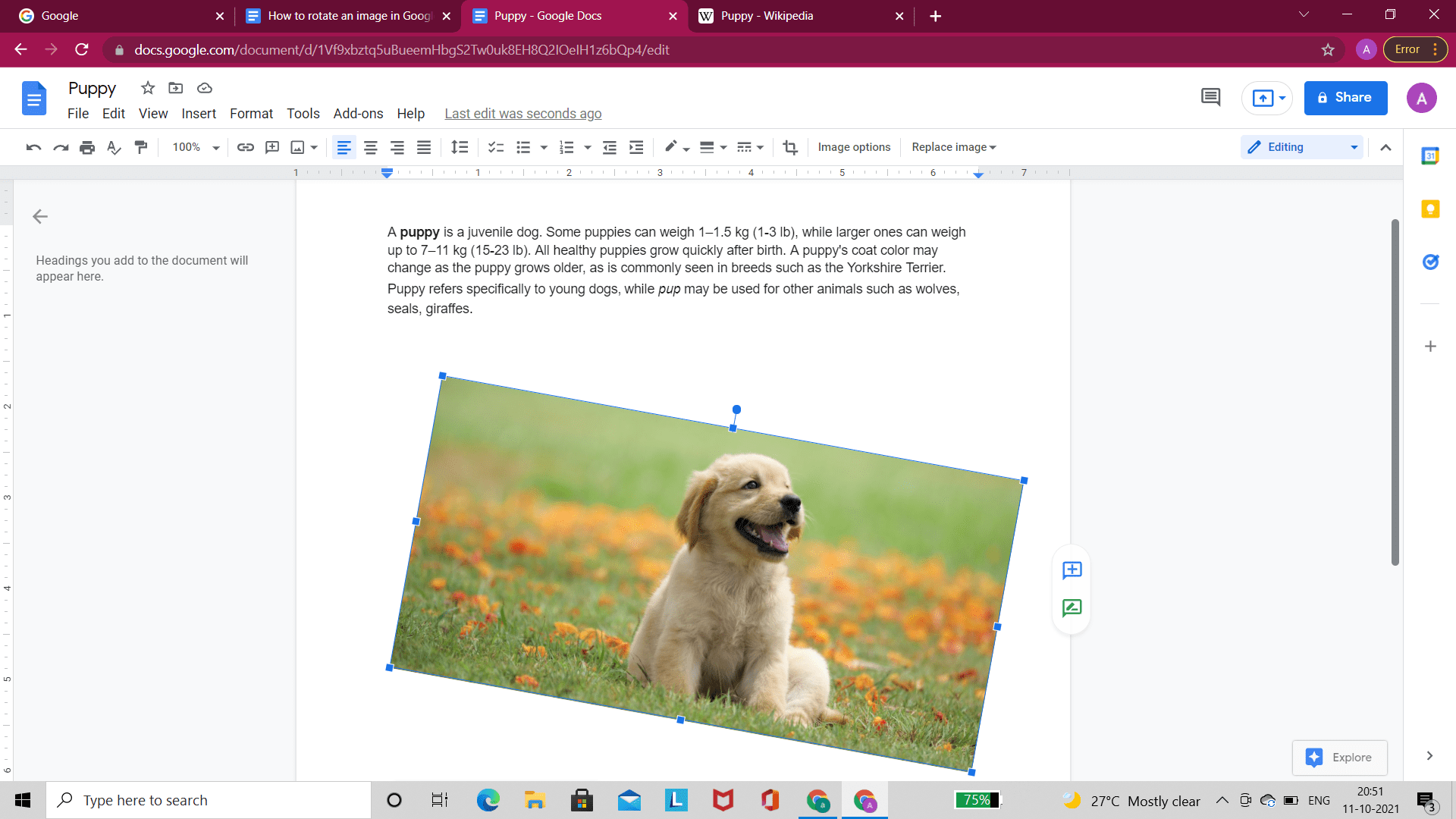 Rotate Image with Cursor