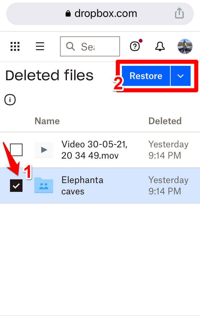 Select the file to recover using Dropbox app