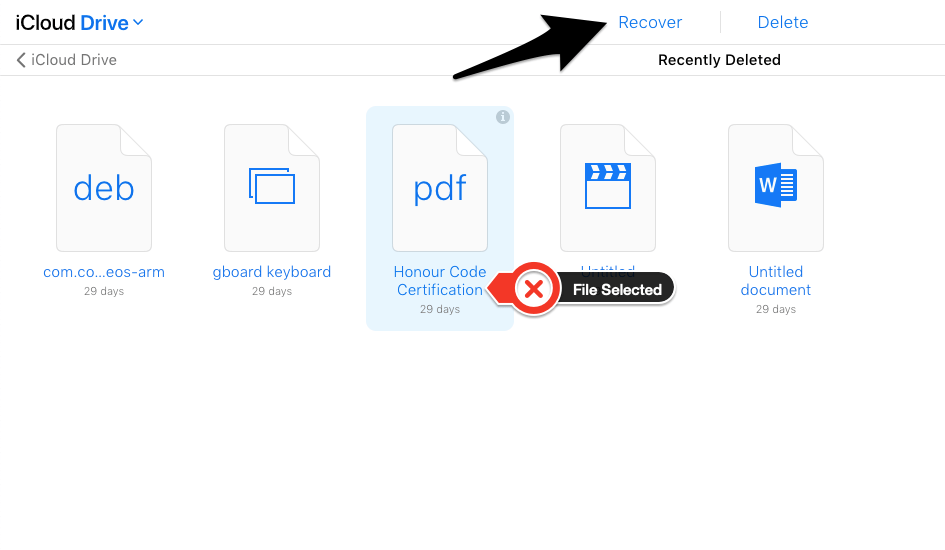 Select File Recover