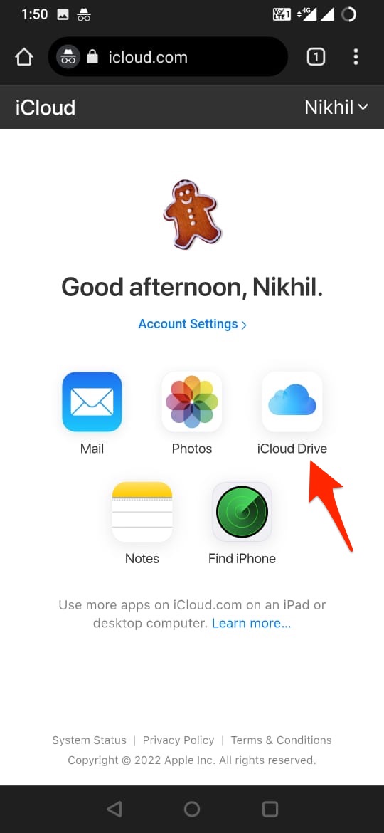 Select_iCloud_Drive